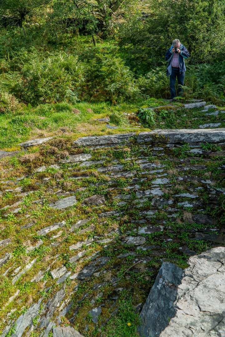 Bryndyfi dressing floors 25.9.18-5-31